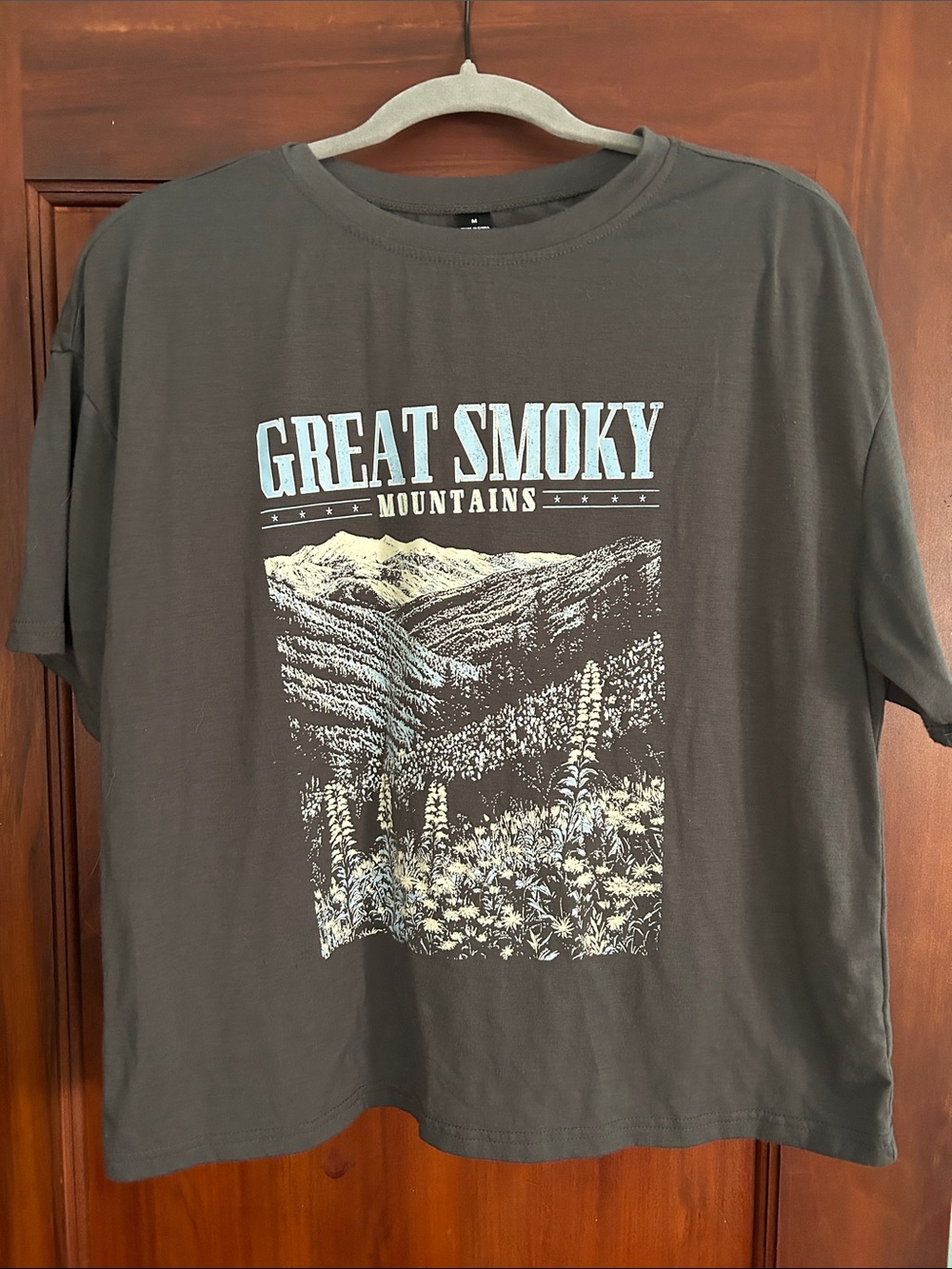 Old Navy Malibu Beach Graphic Tee - Blue & Grey Smoky Mountains Tee - Picture 4 of 7